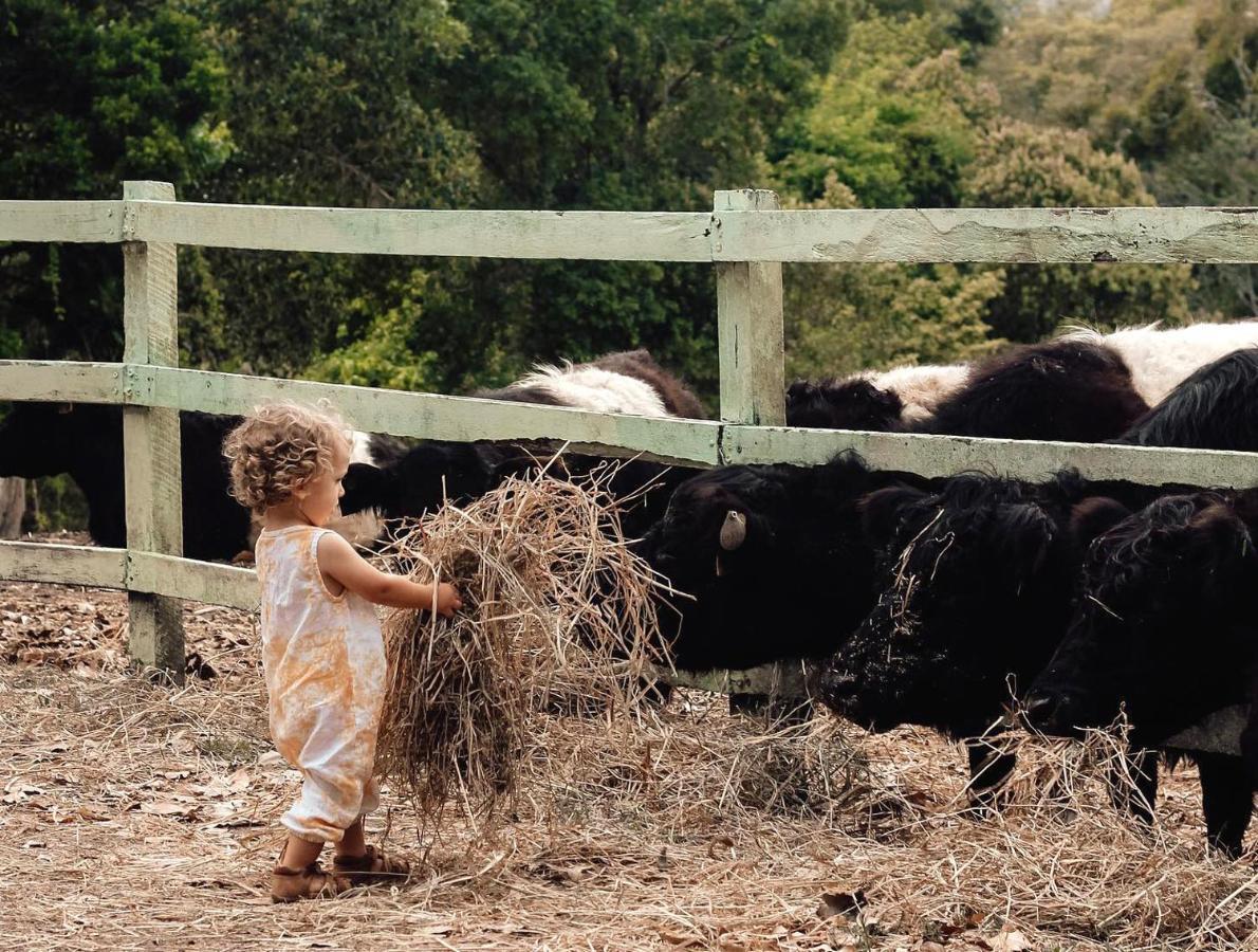 Rosecliffe Boutique Farm Cottages Pomona エクステリア 写真